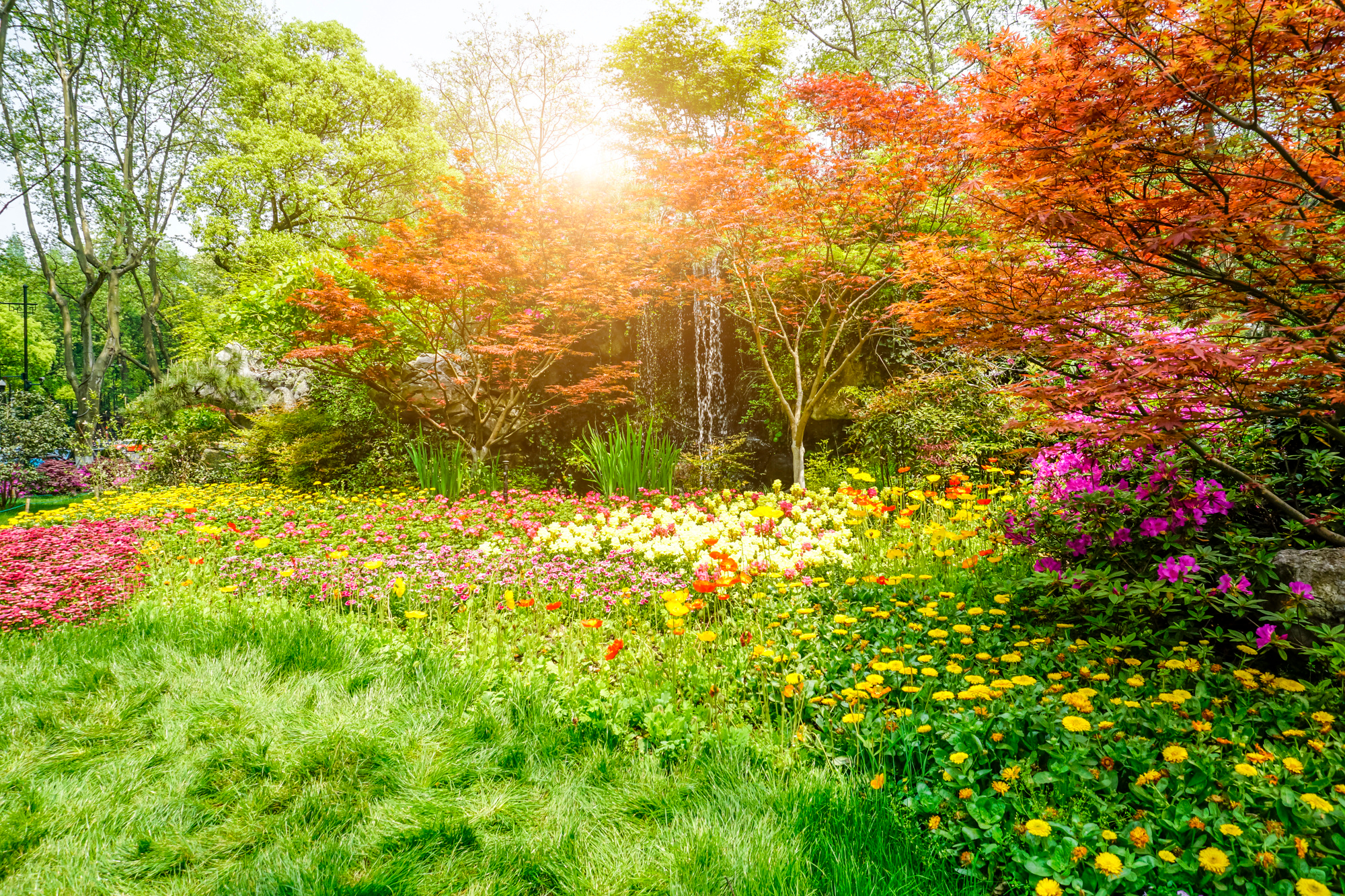 Majardin jardines