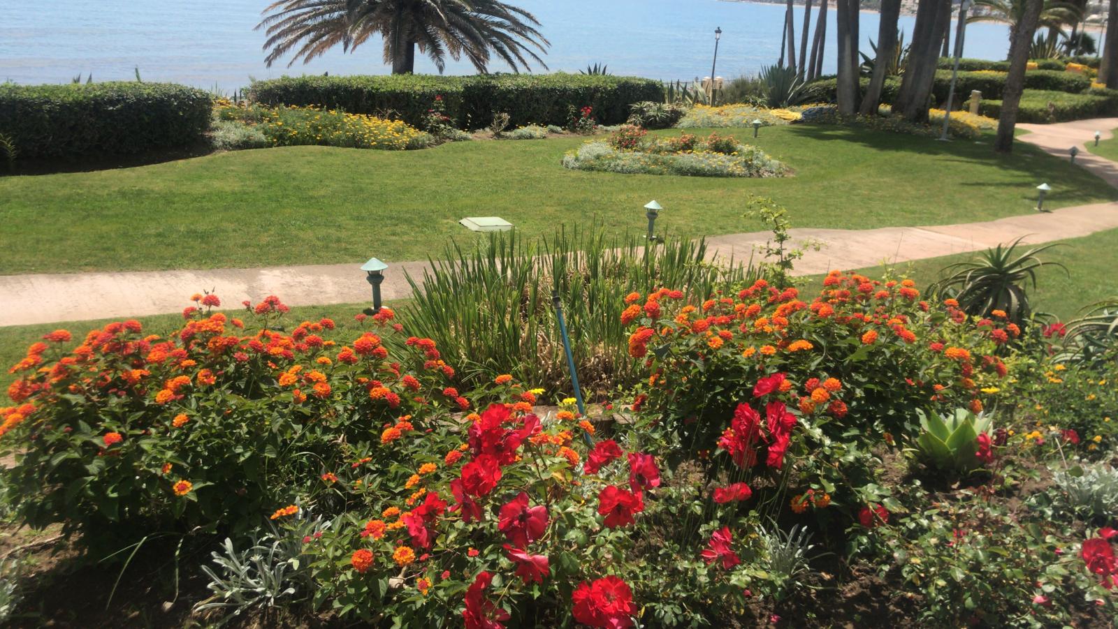 Majardin jardines