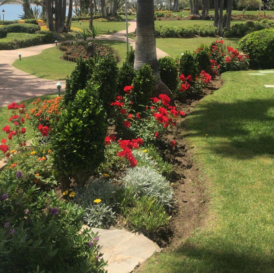 Majardin jardines